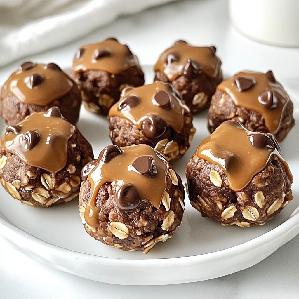 Chocolate Peanut Butter Protein Bites Energizing Snack
